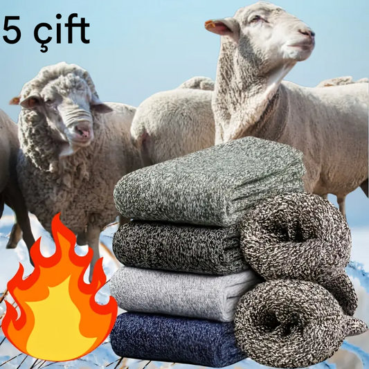 Kalın termal çoraplar, 5 çift